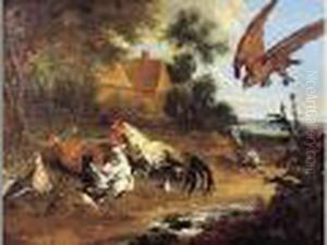 Rapaces Attaquant Des Gallinaces