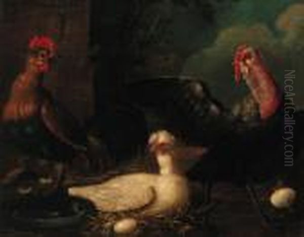 Poultry In A Farmyard - view 1