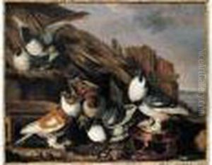 Pigeons S'ebattant Pres D'une Mangeoire De Terre Vernissee by Jacomo (or Victor, Jacobus) Victors