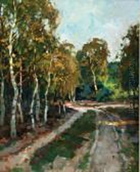 Landweg Bij Nunspeet - view 1
