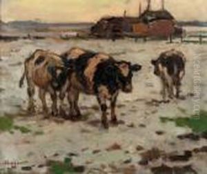 Cows In The Snow