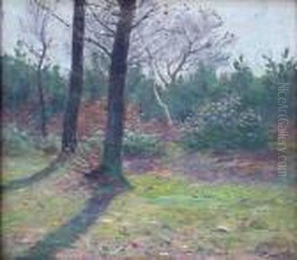 Spring Landscape - view 1