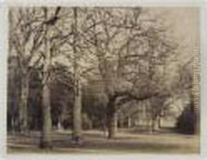 ````parc De Claremont. Chenes.', Probably 1852 ````parc De Claremont. Chenes.', Probably 1852