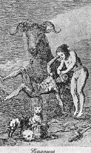Caprichos Plate 60 Experiments by Francisco Goya Fuendetodos