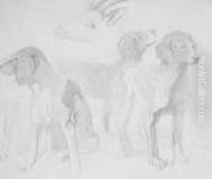 Perros by Darius Vilas