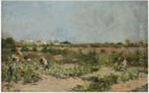La Cosecha (the Harvest)
