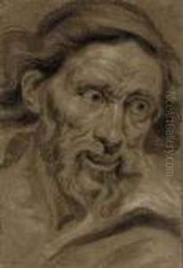 Head Of A Bearded Man