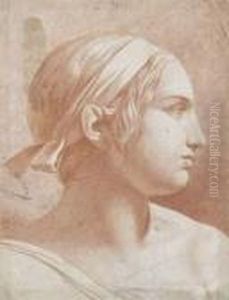 Tete De Femme De Profil