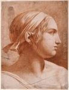 Tete De Jeune Femme De Profil