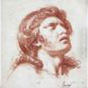 Tete D'homme by Francois-Andre Vincent