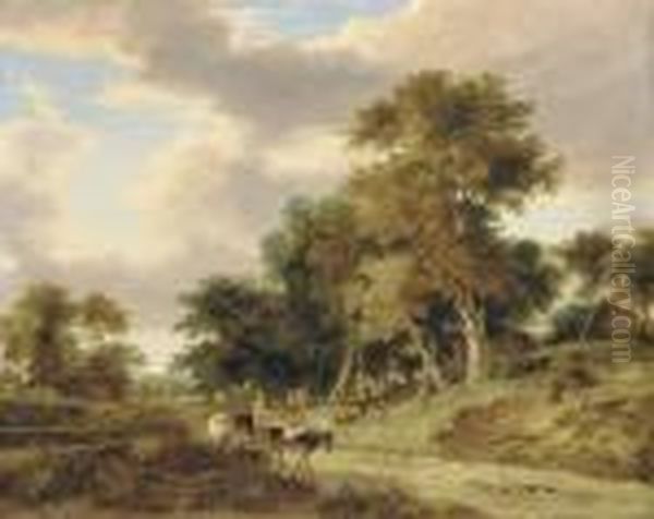 View In The Valley Of The Yare - view 1