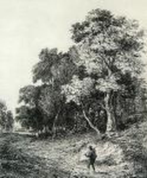 A Grove Of Trees With A Figure On The Road - view 1