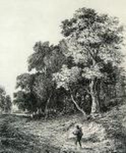 A Grove Of Trees With A Figure On The Road