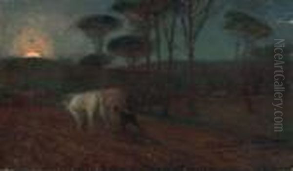 Aratura Al Tramonto - view 1