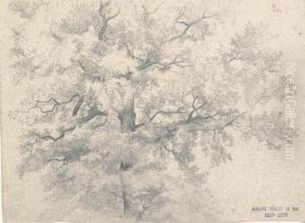 Etude D'arbre - view 1