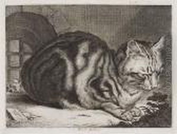 The Large Cat - view 1