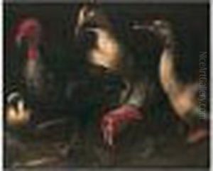 Still Life Of Turkeys, Duck And A Pigeon