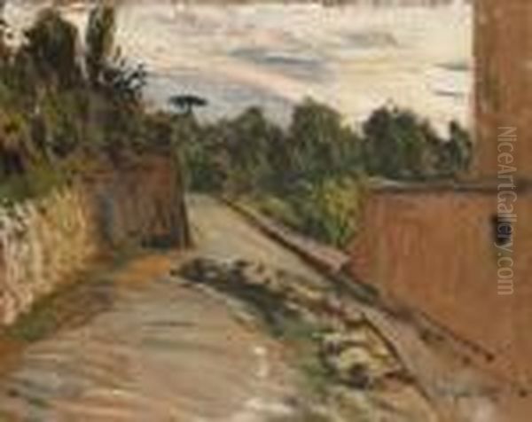 Strada Di Campagna - view 1