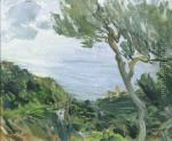 Scorcio Costiero - view 1