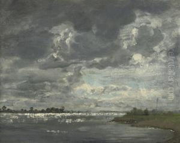 Het Kleine Veer: A View Of The River Ijssel - view 1