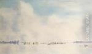 Estuary Scene
