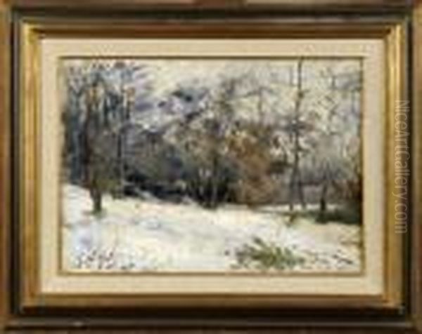 Paysage Enneige. - view 1