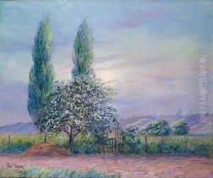 Pommier En Fleurs Au Bord Du Chemin