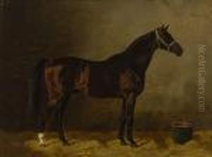 Pferd Im Stall by Emil Volkers
