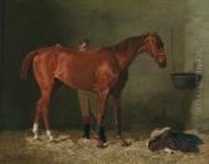 In The Stable
