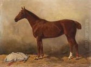 Picture Of A Horse