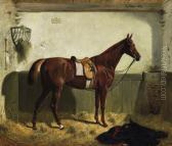 Horse Portrait. - view 1