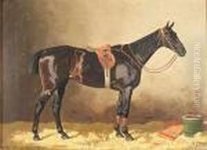 A Saddled Black Horse In A Stable by Emil Volkers
