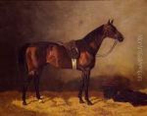 Cheval Selle A L'ecurie, 1892. by Emil Volkers