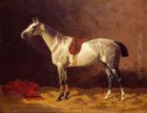 Cheval Gris Pommele A L'ecurie, 1892.