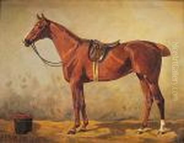 Caballo - view 1