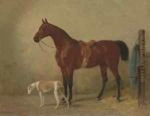 A Saddled Bay Hunter In A Stable With A Dog
