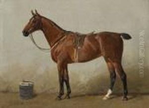 Gesatteltes Reitpferd. by Emil Volkers