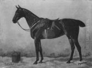 Gesattelter Brauner Im Stall by Emil Volkers