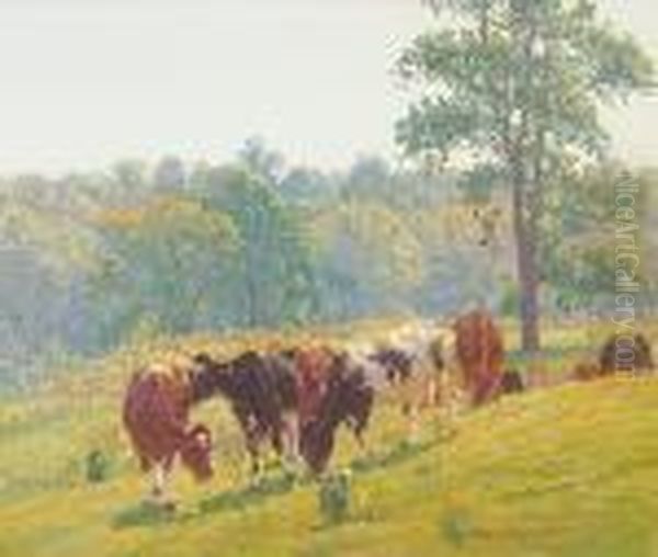 Cattle Grazing At Midday - view 1