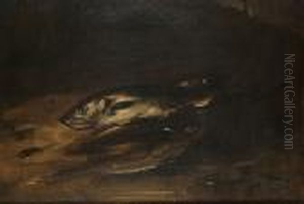 Still Life Of Fish - view 1