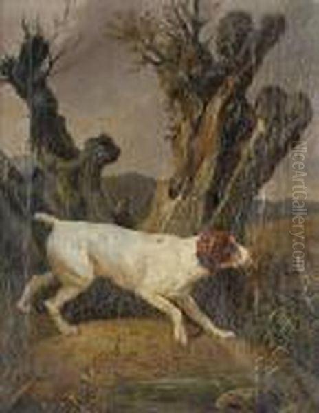 Jagdhund Auf Der Pirsch. - view 1