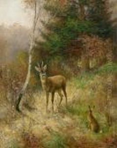 Waldlichtung Mit Rehbock Und Hase