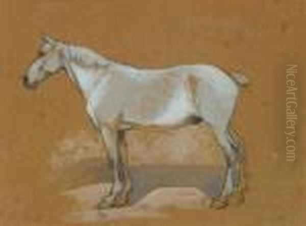 Schimmel - view 1