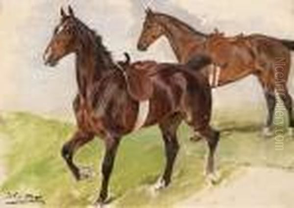 Two Saddled Horses - view 1