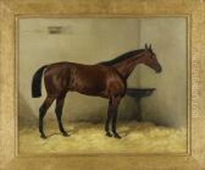 Hungarian Thouroughbred
