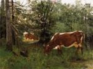 Cows In The Forest
