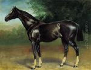 Racing Horse by Julius von Blaas