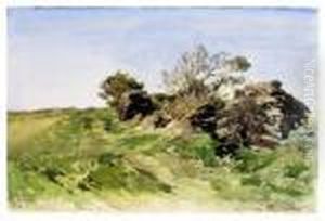 Landschaft Mit Buschen by Gregor Von Bochmann