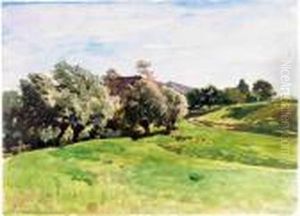Wiesenlandschaft Wiesenlandschaft