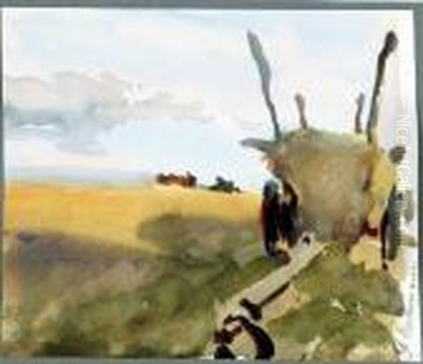 Heuwagen Auf Dem Feld - view 1